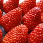 疲れた時には甘いもの！いちごのタルトレットの作り方